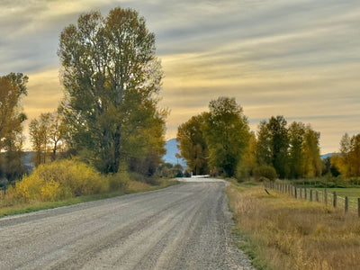 Suzie Baker: Light Infused Landscapes