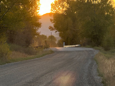 Suzie Baker: Light Infused Landscapes