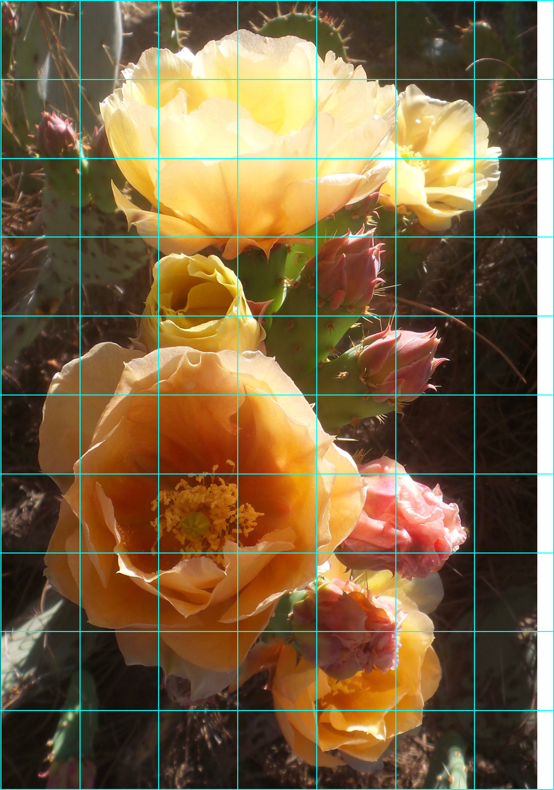 レア 1975 Floral Poem サンリオ ドレッサー フローラルポエム レア