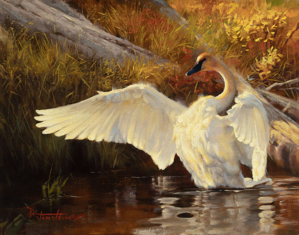 Dustin Van Wechel: Painting Wildlife: Birds and Waterfowl - PaintTube.tv