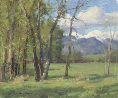 Clyde Aspevig: Plein Air Painting with Clyde Aspevig