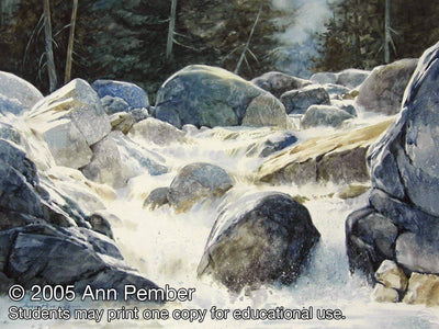 Ann Pember: Painting in the Flow of Watercolor On High Plate Illustrat 