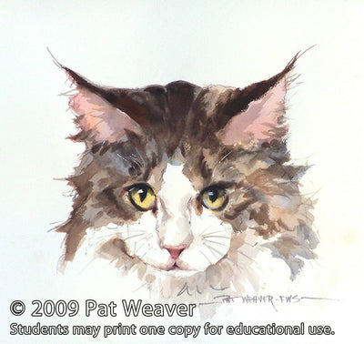 Pat Weaver: Animal Portraits in Watermedia