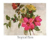 Johnnie Liliedahl: Floral Bouquet