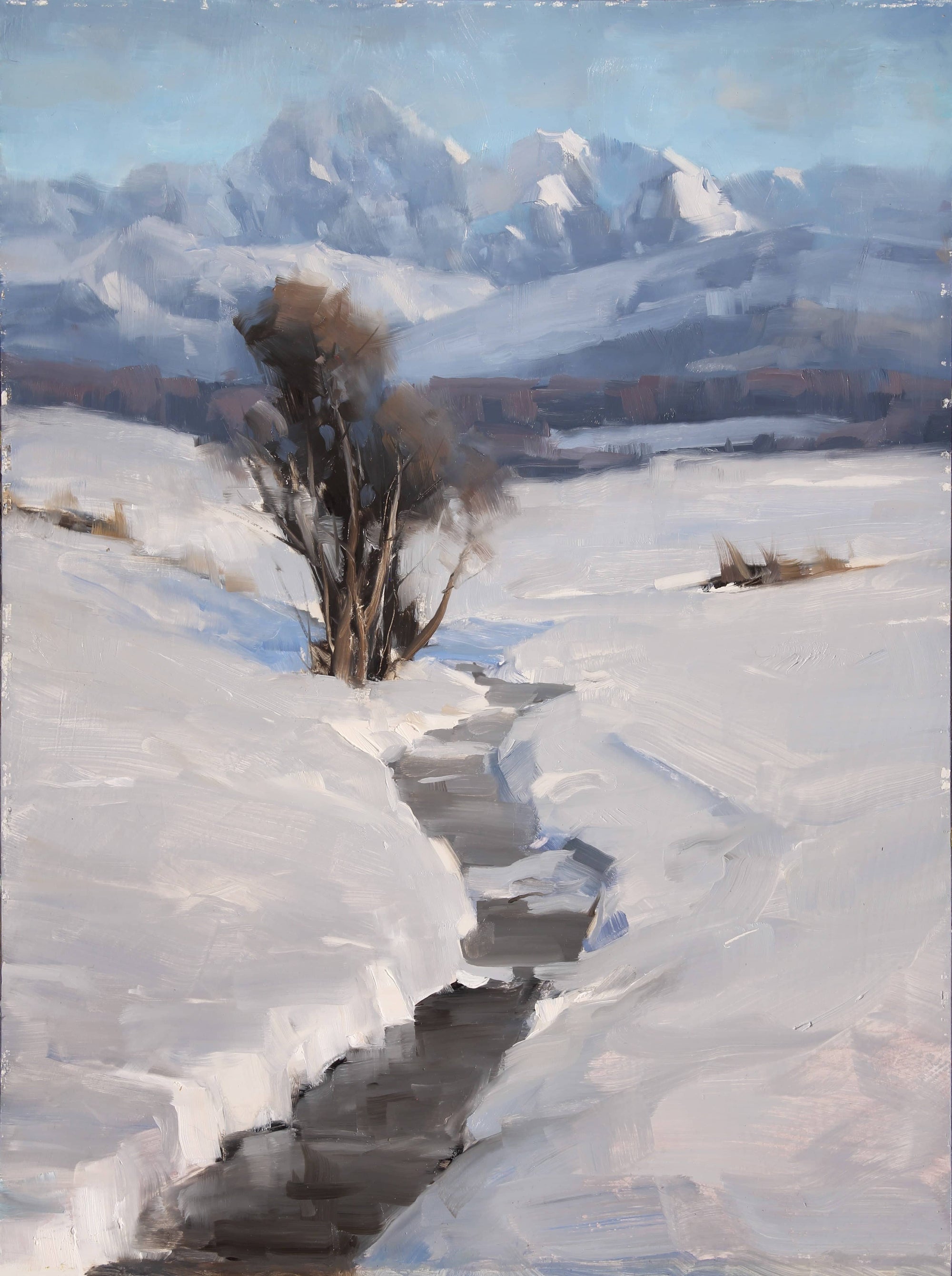 Dave Santillanes Landscape Bundle